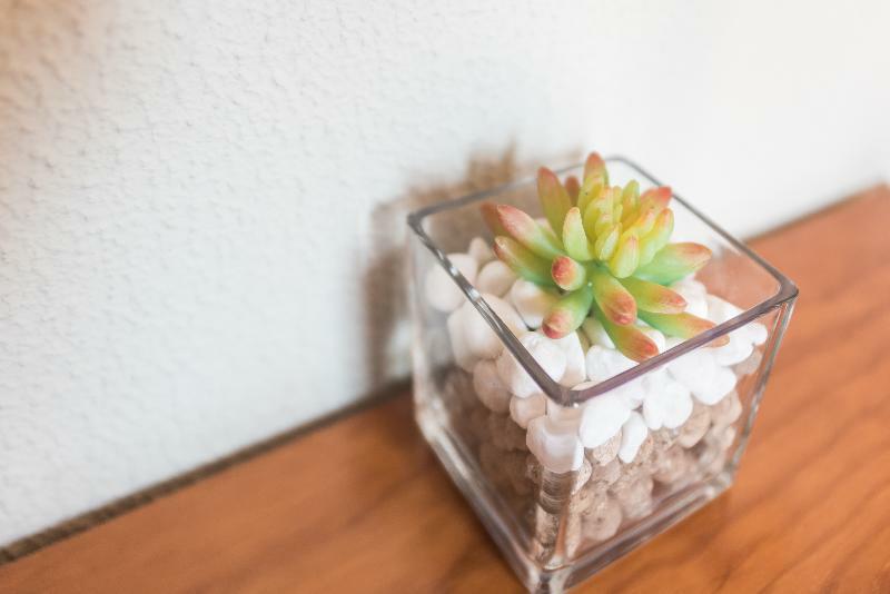 Cantinho Das Oliveiras Vườn quốc gia Peneda-Gerês Ngoại thất bức ảnh